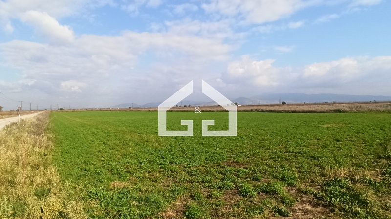 property-img