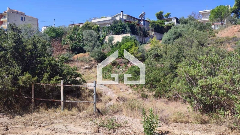 property-img